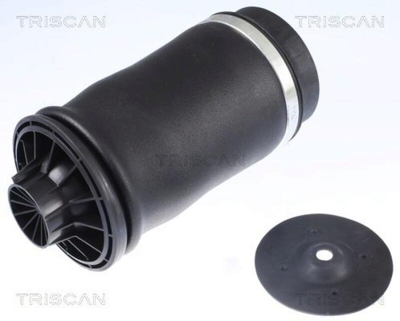 TRISCAN Air Spring, suspension