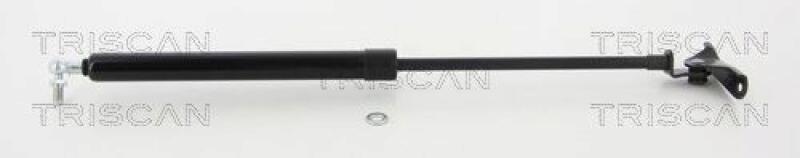 TRISCAN Gas Spring, boot-/cargo area