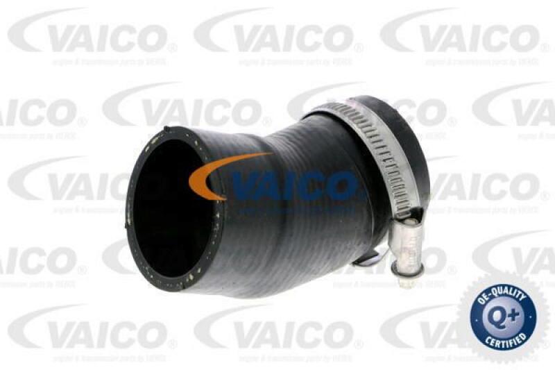 VAICO Charger Air Hose Q+, original equipment manufacturer quality