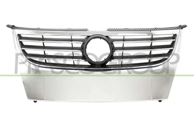 Radiator Grille