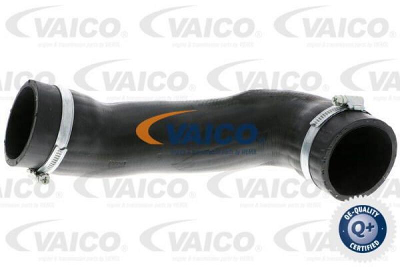 VAICO Charger Air Hose Q+, original equipment manufacturer quality