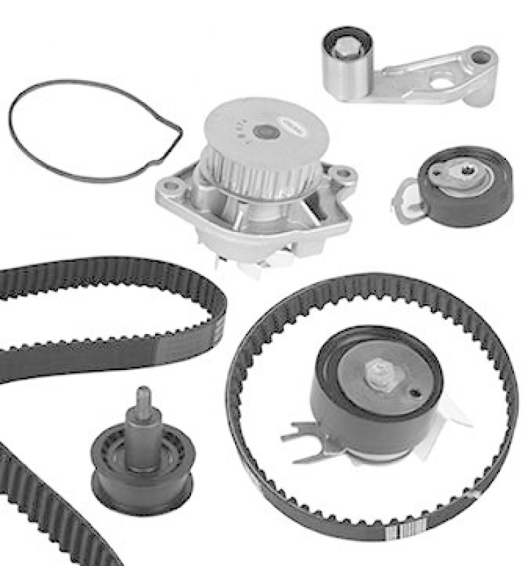 METELLI Water Pump & Timing Belt Set