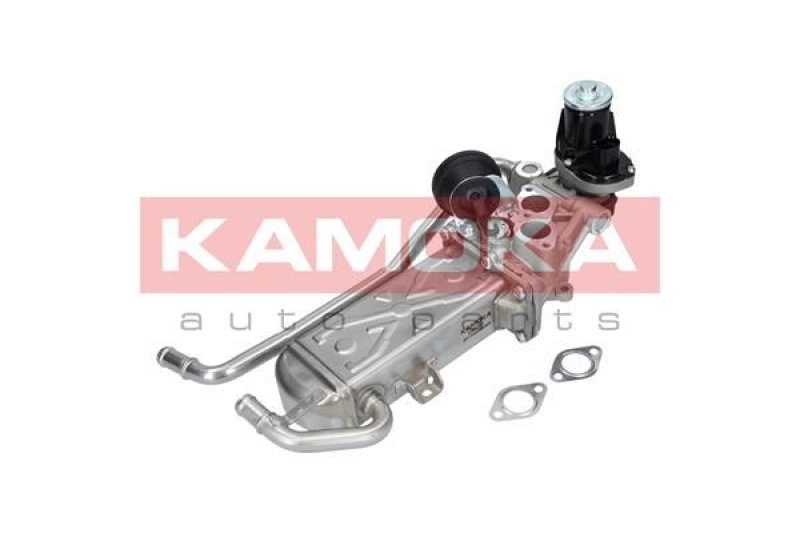 KAMOKA EGR Module