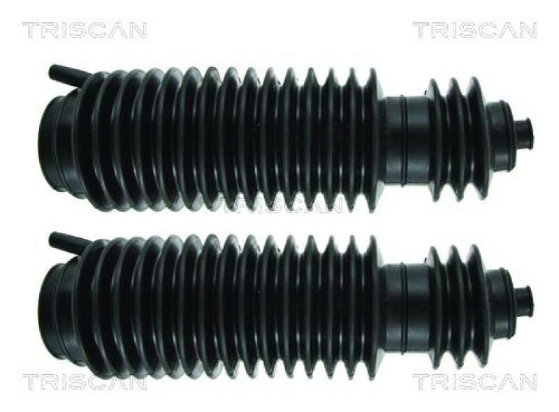 TRISCAN Bellow Set, steering