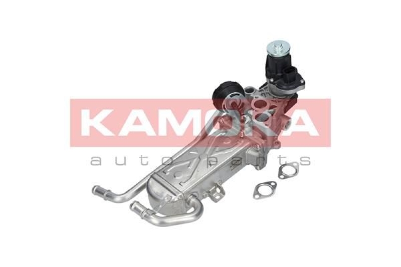 KAMOKA EGR Module