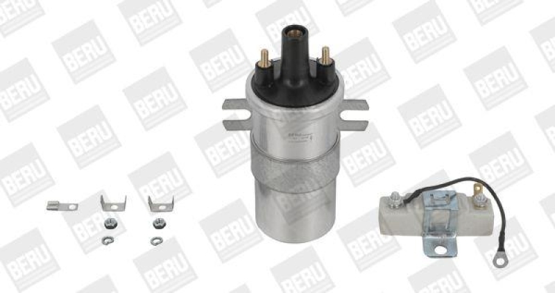 BorgWarner (BERU) Ignition Coil