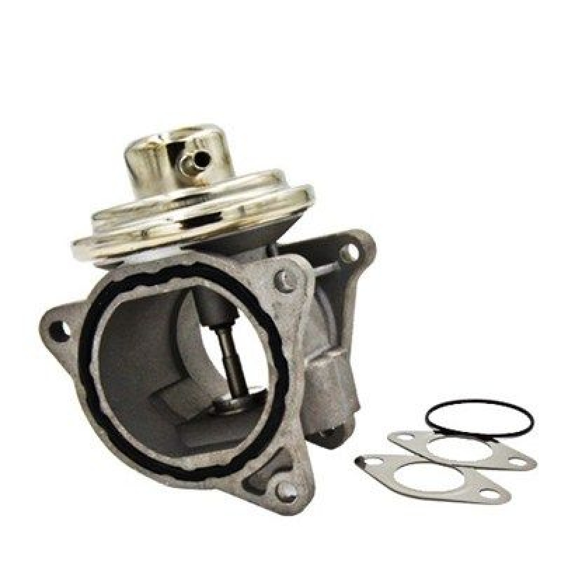 MAGNETI MARELLI EGR Valve