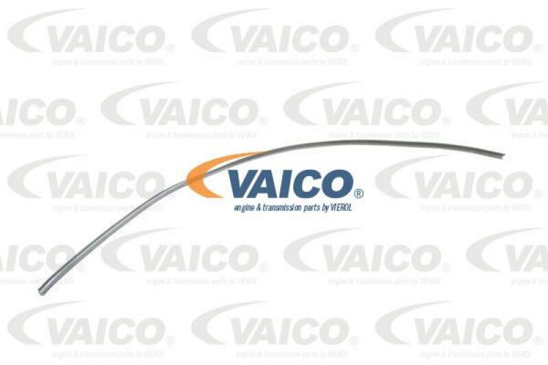 VAICO Dichtung, Frontscheibe Original VAICO Qualität