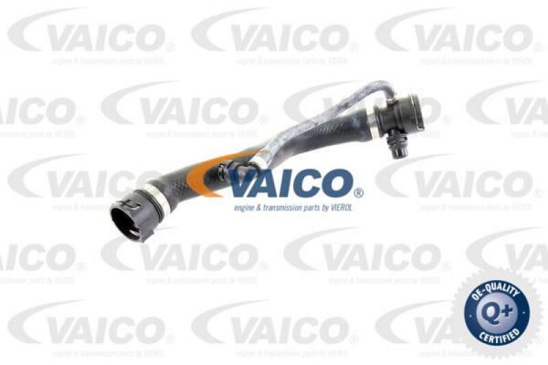 VAICO Radiator Hose Q+, original equipment manufacturer quality