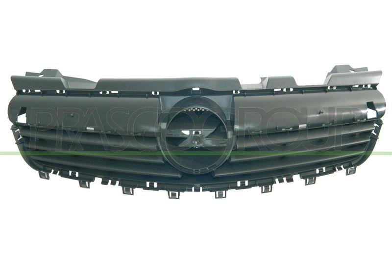 Radiator Grille Premium