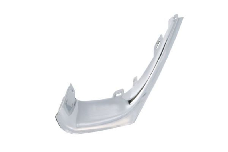 BLIC Trim/Protection Strip, bumper