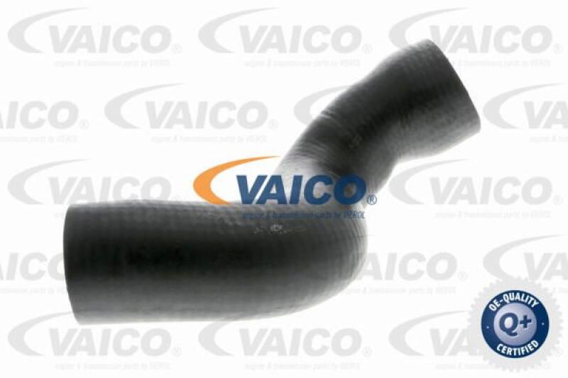 VAICO Charger Air Hose Q+, original equipment manufacturer quality