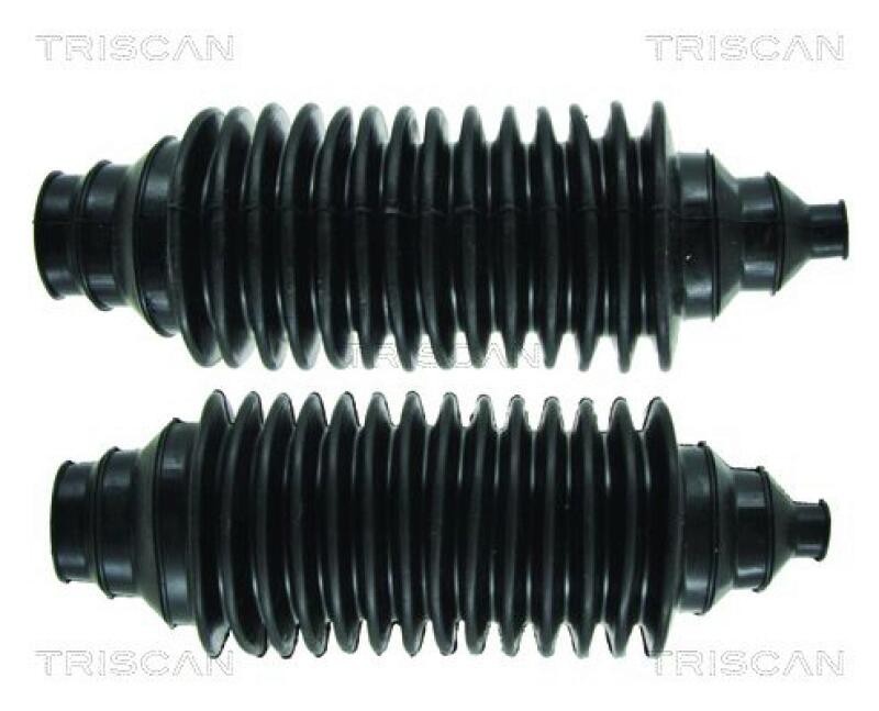 TRISCAN Bellow Set, steering