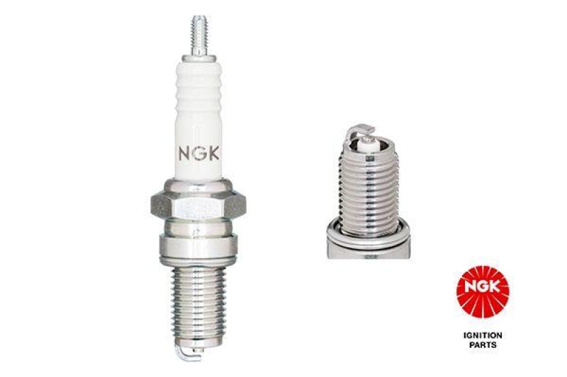 NGK Spark Plug