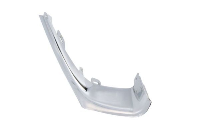 BLIC Trim/Protection Strip, bumper