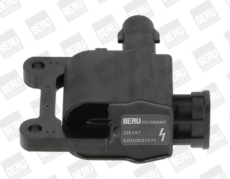 BorgWarner (BERU) Ignition Coil