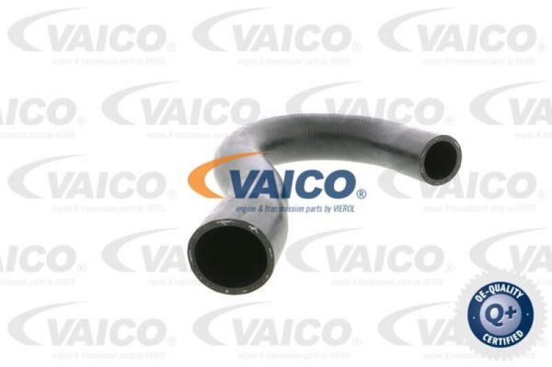 VAICO Radiator Hose Q+, original equipment manufacturer quality