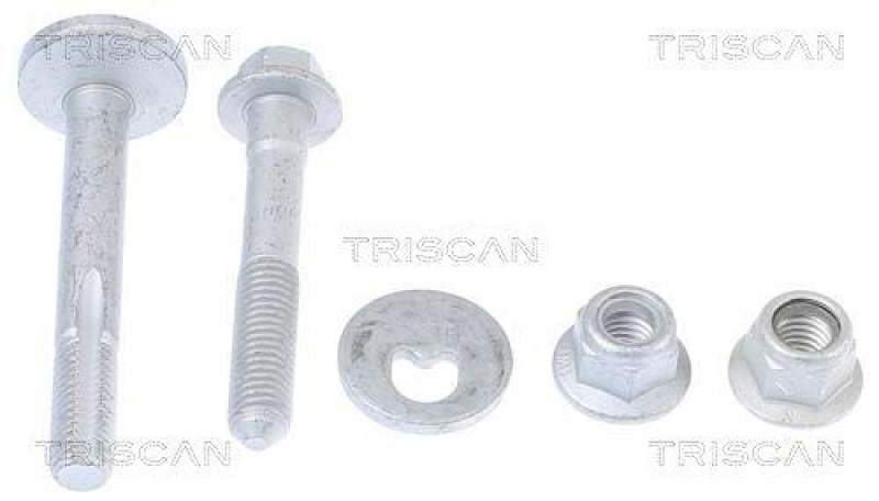 TRISCAN Fastening Bolts, control arm