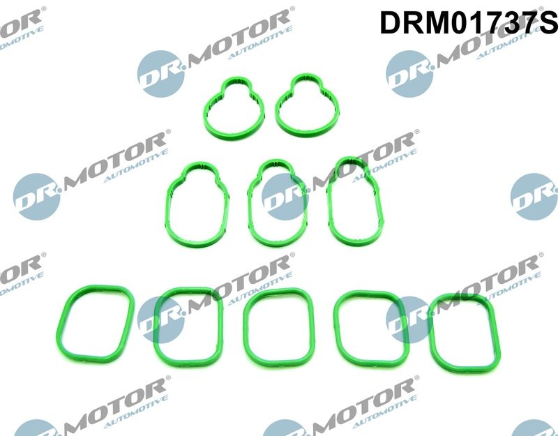 Dr.Motor Automotive Dichtungssatz, Ansaugkrümmer