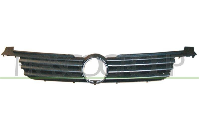 Radiator Grille