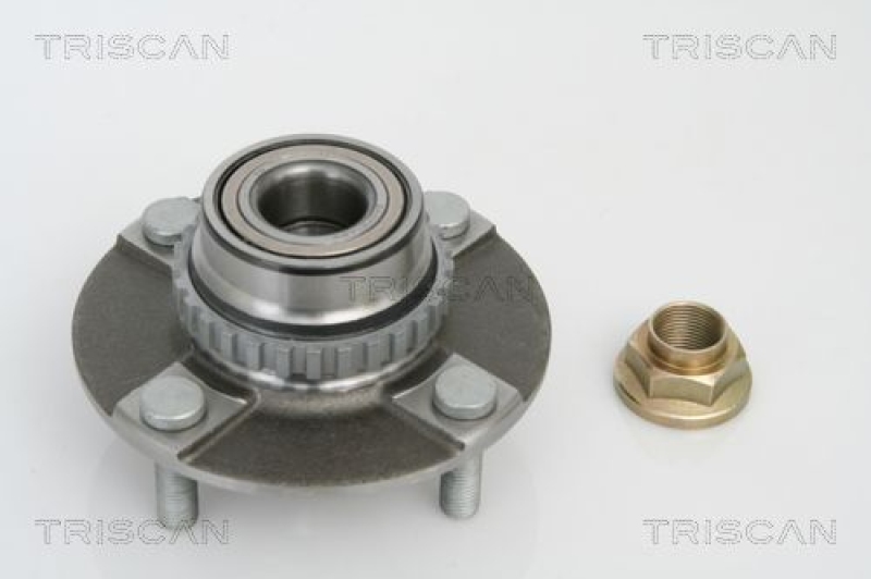 TRISCAN Wheel Bearing Kit