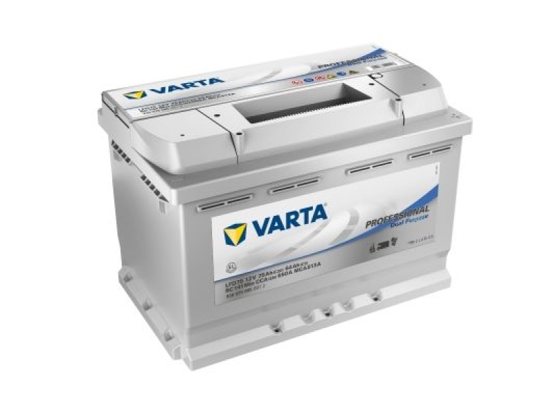 VARTA Starterbatterie Professional Dual Purpose