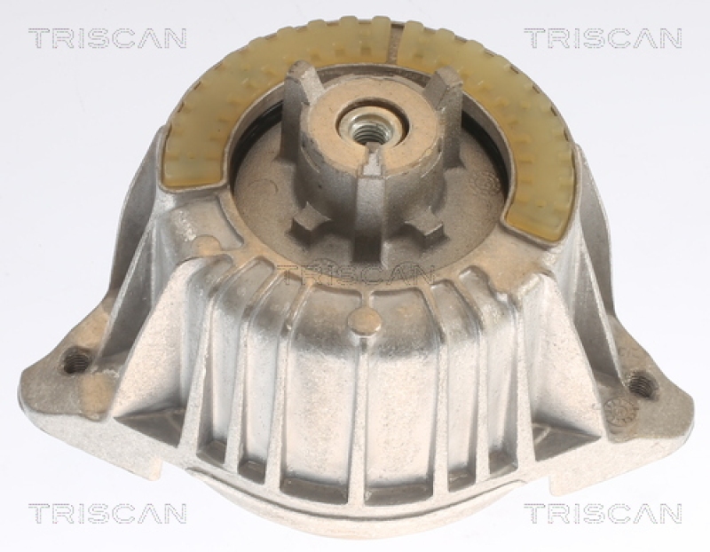 TRISCAN Lagerung, Motor