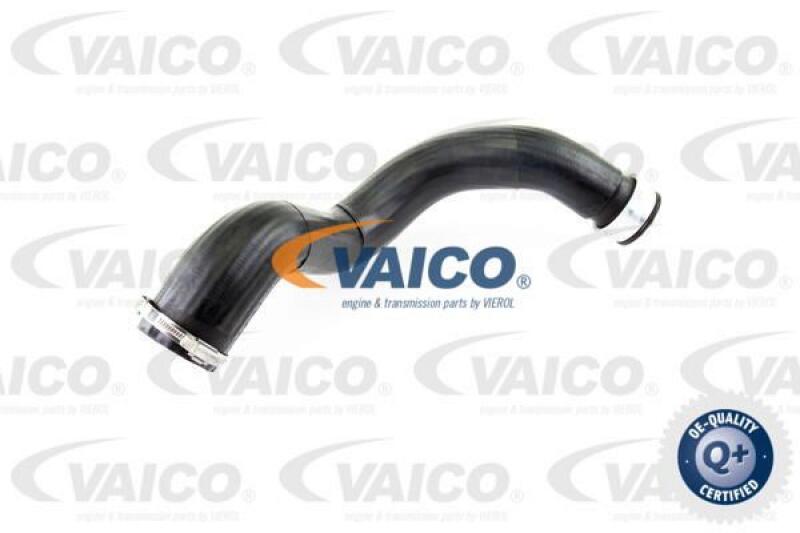 VAICO Charger Air Hose Q+, original equipment manufacturer quality