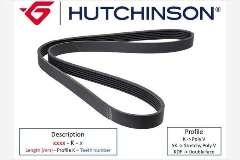 HUTCHINSON V-Ribbed Belt Double face