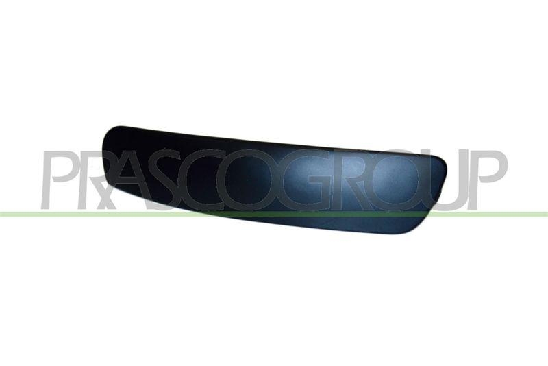 Trim/Protective Strip, bumper