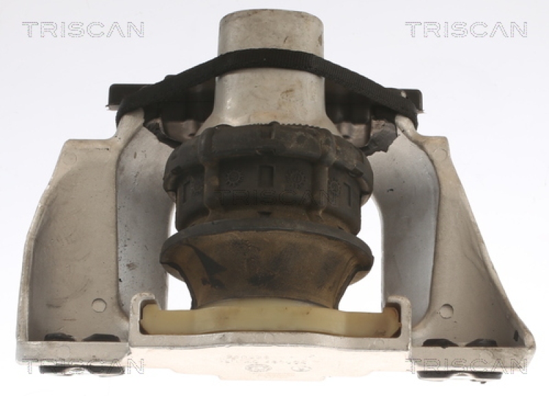 TRISCAN Lagerung, Motor