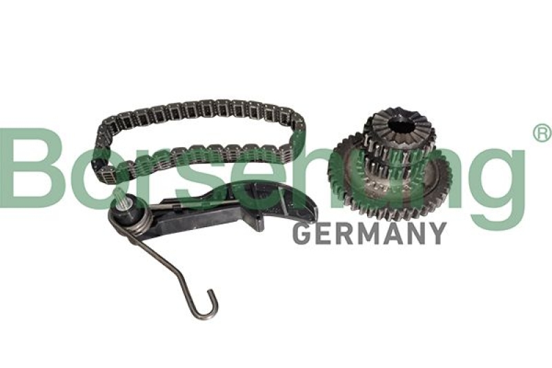 Borsehung Timing Chain Kit