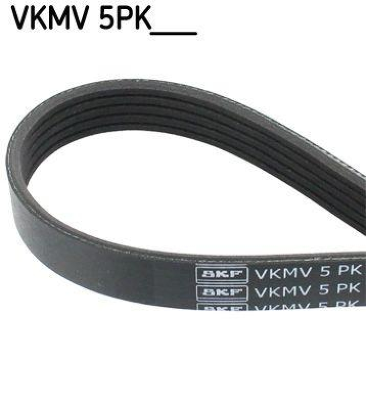 SKF V-Ribbed Belts