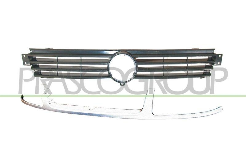 Radiator Grille