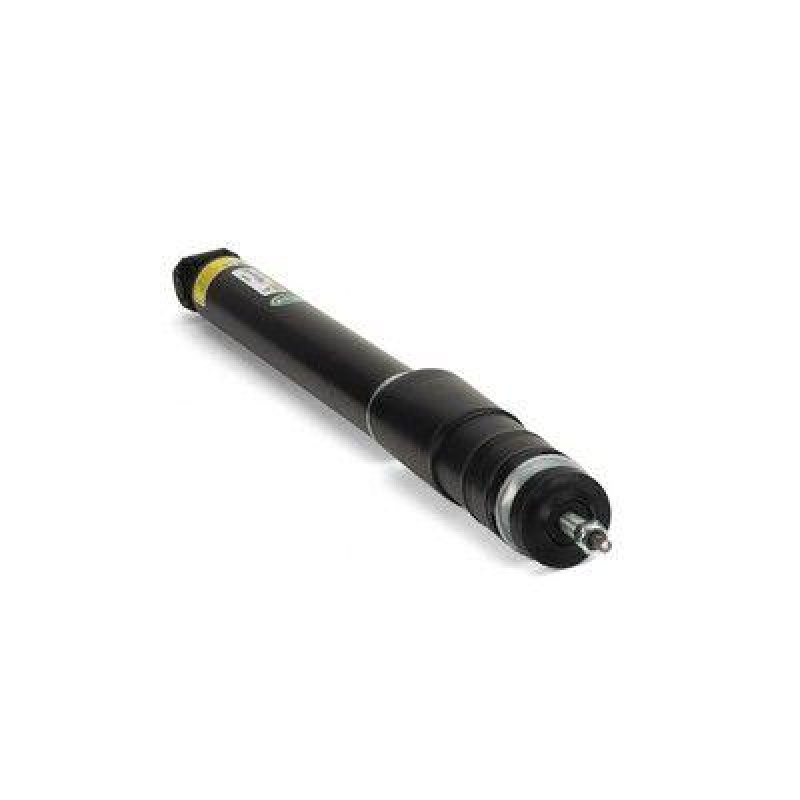 Arnott Shock Absorber