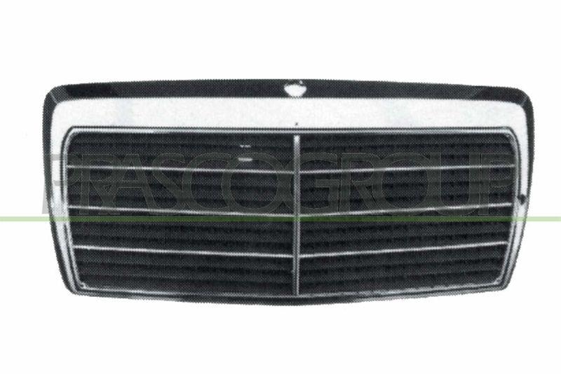 Radiator Grille Premium