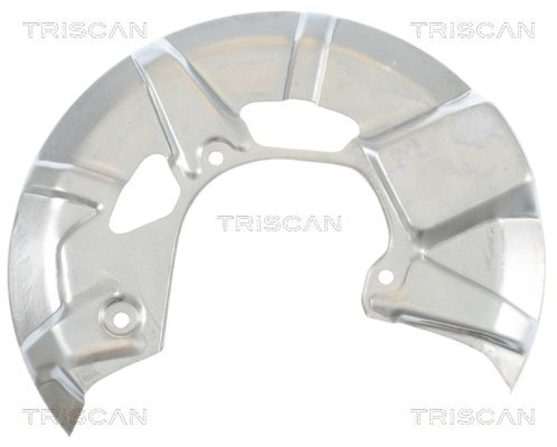 TRISCAN Splash Panel, brake disc