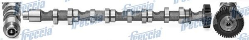 FRECCIA Camshaft