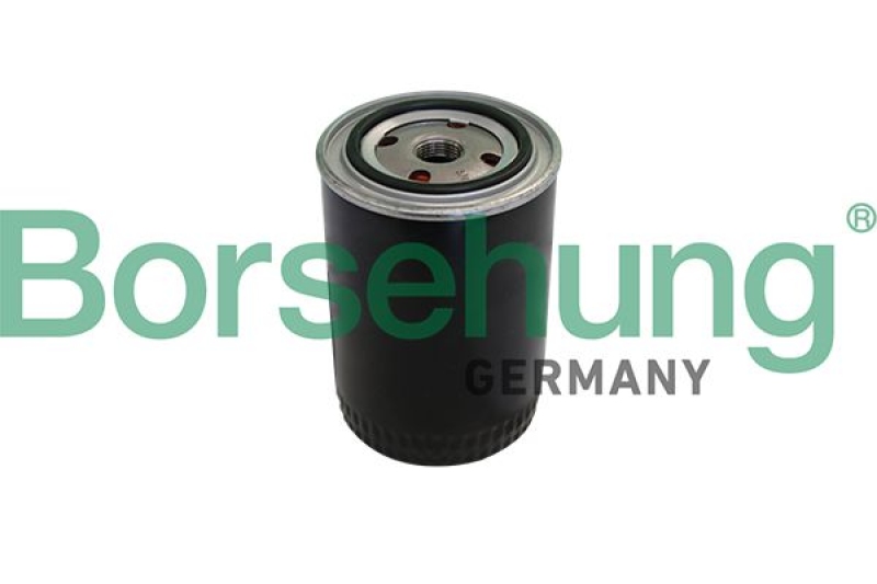 Borsehung Oil Filter