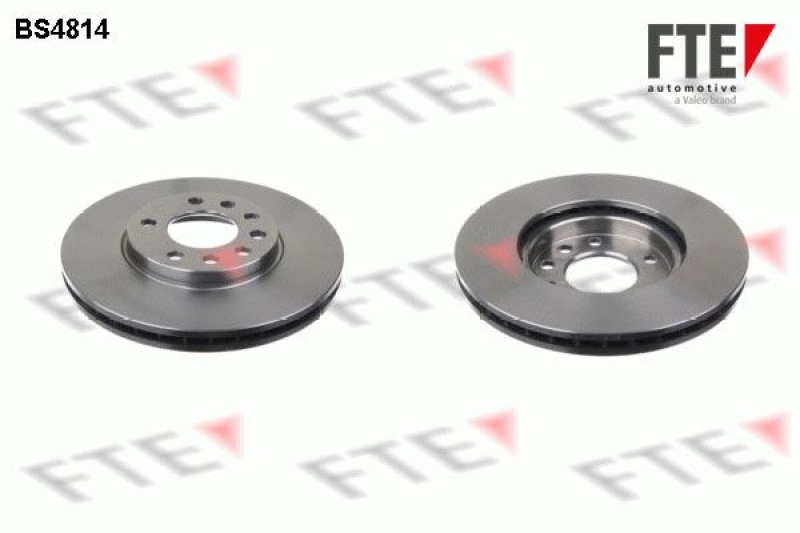 2x FTE Brake Disc