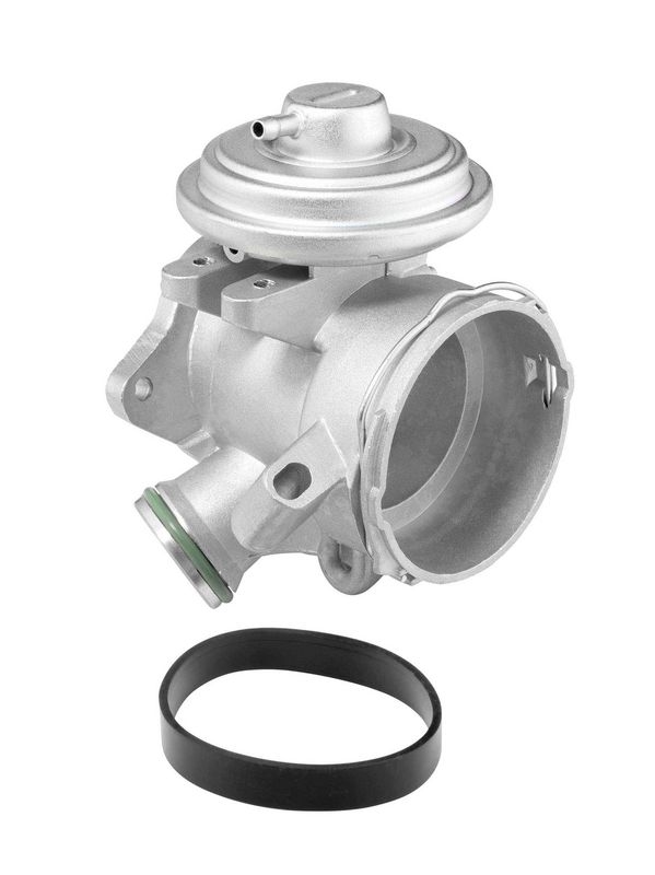 BorgWarner (Wahler) AGR-Ventil