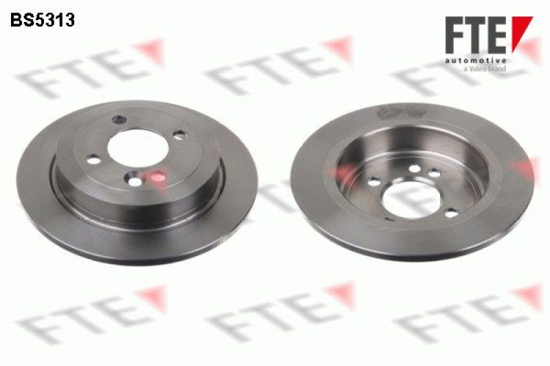 2x FTE Brake Disc