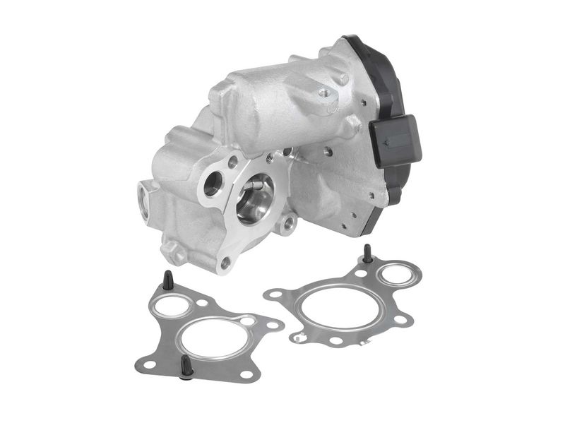 BorgWarner (Wahler) AGR-Ventil