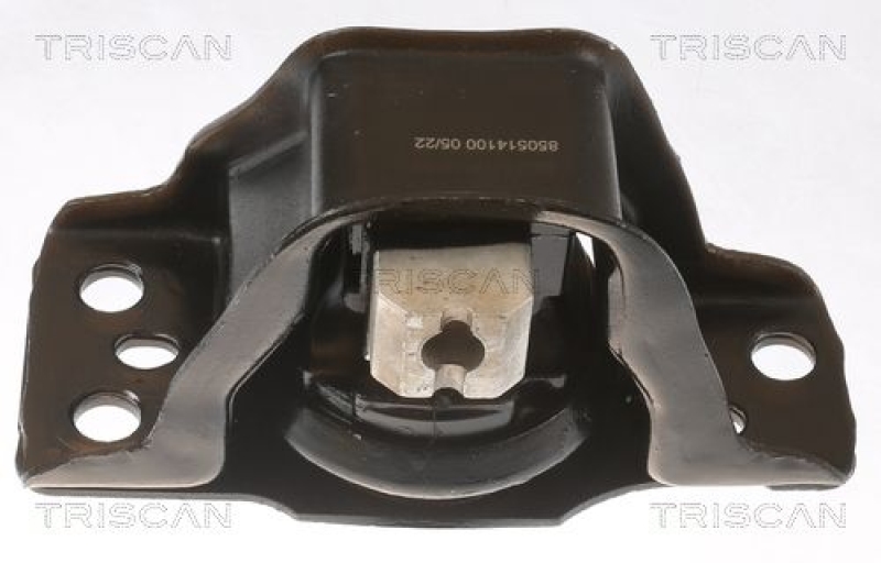 TRISCAN Mounting, engine