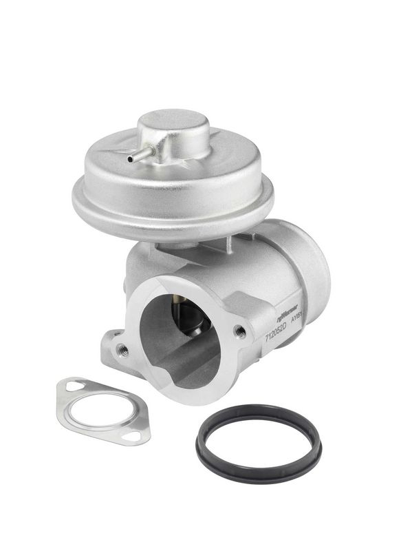 BorgWarner (Wahler) AGR-Ventil