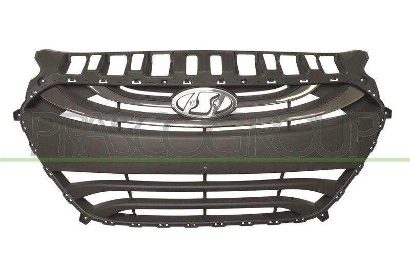 Radiator Grille