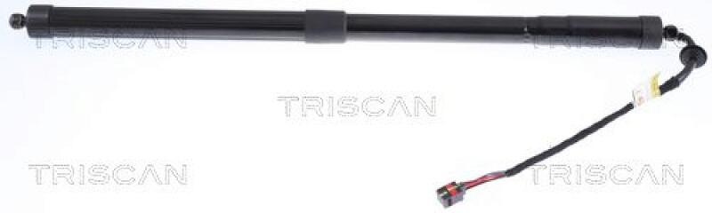 TRISCAN Gas Spring, boot-/cargo area