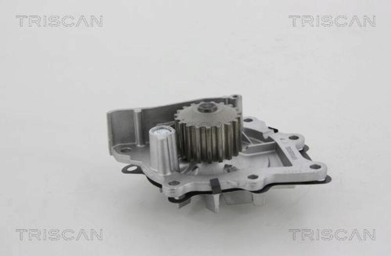 TRISCAN Water Pump