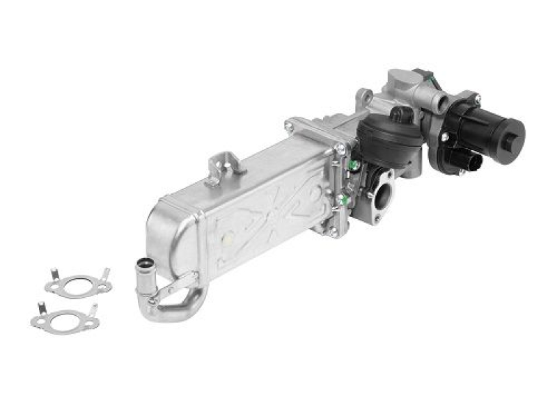 BorgWarner (Wahler) AGR-Modul