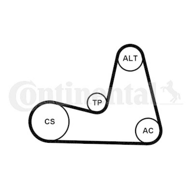 CONTINENTAL CTAM Keilrippenriemensatz